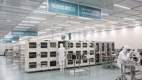 張家口的風，點亮北京的燈——海歸青年在綠色能源浪潮中顯身手