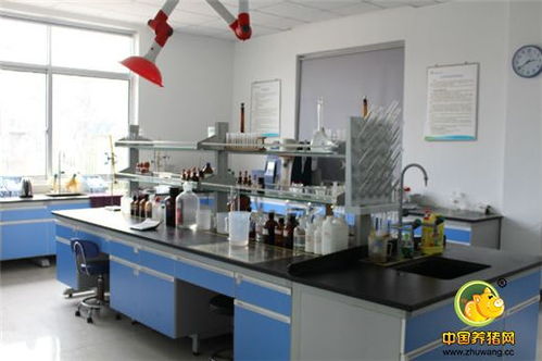 標桿工廠再創(chuàng)輝煌——浙江播恩預(yù)混料教槽料產(chǎn)銷量破10000噸慶典隆重舉行